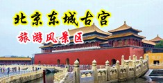 自慰自拍小妹中国北京-东城古宫旅游风景区